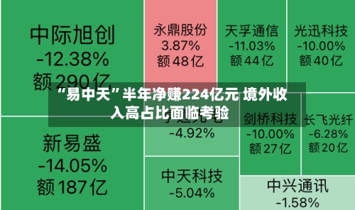 “易中天”半年净赚224亿元 境外收入高占比面临考验