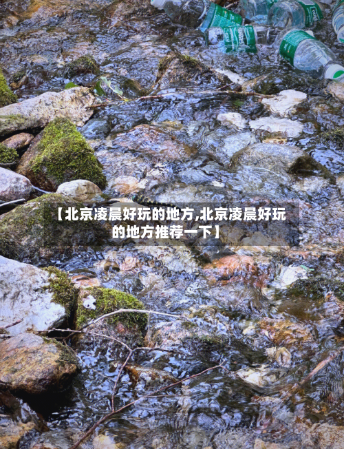 【北京凌晨好玩的地方,北京凌晨好玩的地方推荐一下】-第2张图片