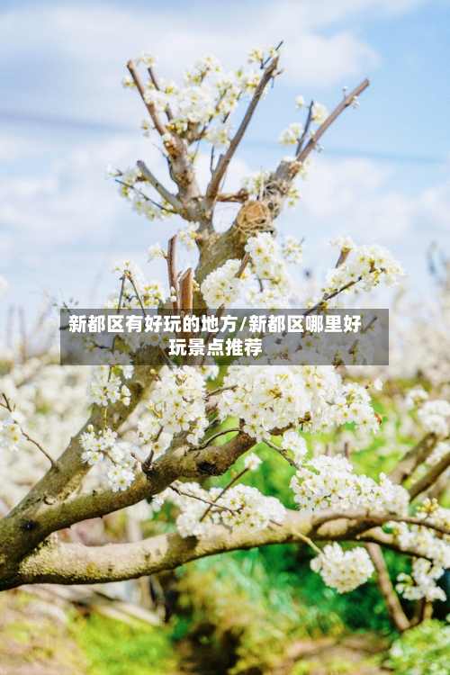 新都区有好玩的地方/新都区哪里好玩景点推荐-第2张图片