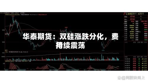 华泰期货：双硅涨跌分化	，费用持续震荡-第2张图片