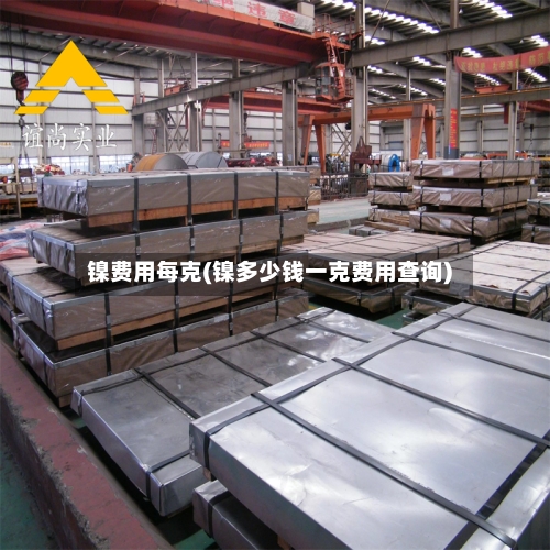 镍费用每克(镍多少钱一克费用查询)