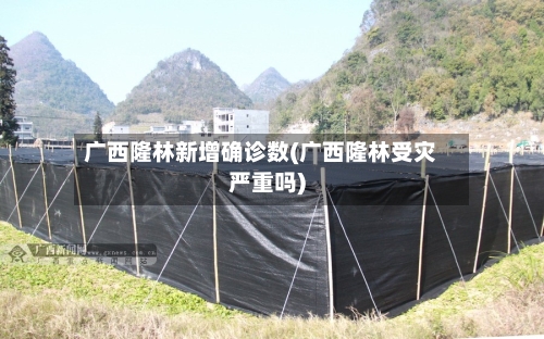 广西隆林新增确诊数(广西隆林受灾严重吗)