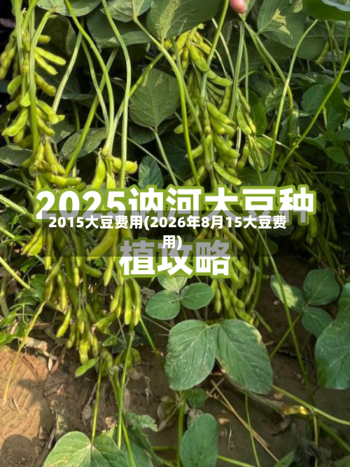 2015大豆费用(2026年8月15大豆费用)