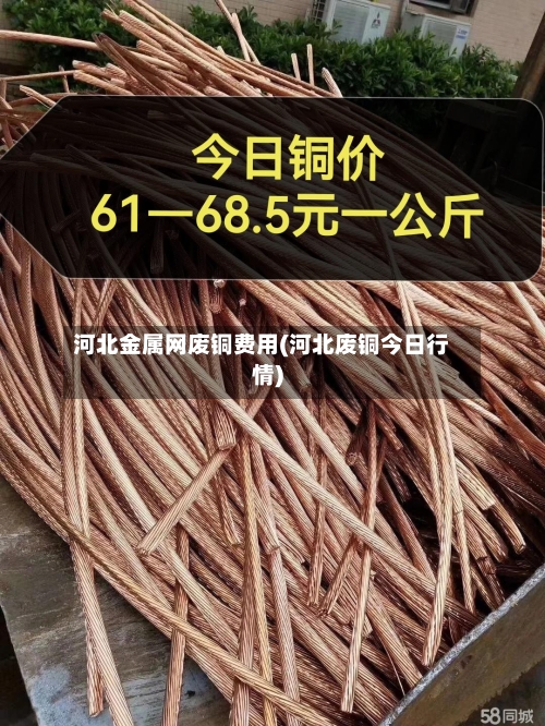 河北金属网废铜费用(河北废铜今日行情)-第2张图片
