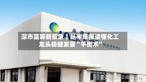 深市蓝筹新景象丨从半年报读懂化工龙头稳健发展“平衡术”-第3张图片