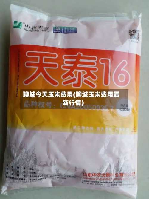 聊城今天玉米费用(聊城玉米费用最新行情)-第3张图片