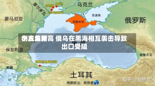 小麦费用创三年新高 俄乌在黑海相互袭击导致出口受阻