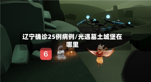 辽宁确诊25例病例/光遇墓土城堡在哪里