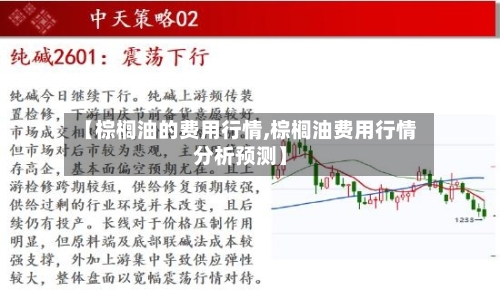 【棕榈油的费用行情,棕榈油费用行情分析预测】
