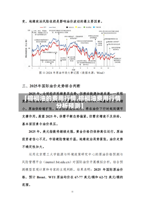 【棕榈油的费用行情,棕榈油费用行情分析预测】-第2张图片