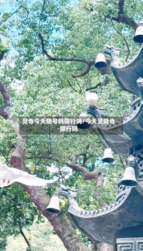 灵寺今天限号吗限行吗/今天灵隐寺限行吗-第2张图片