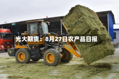 光大期货：8月27日农产品日报-第3张图片
