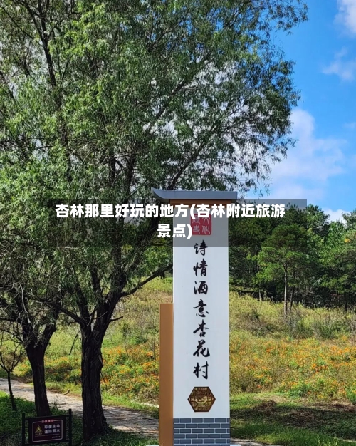 杏林那里好玩的地方(杏林附近旅游景点)