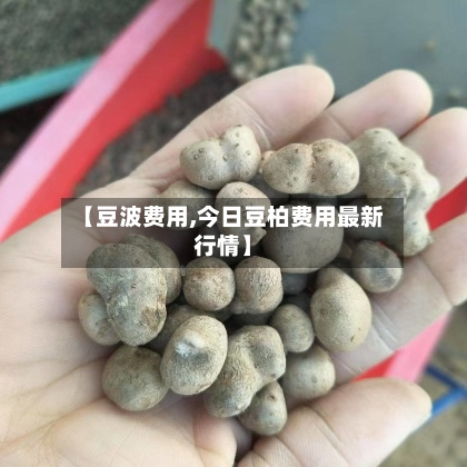 【豆波费用,今日豆柏费用最新行情】-第3张图片