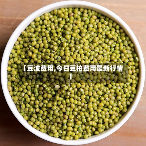 【豆波费用,今日豆柏费用最新行情】