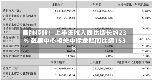 威胜控股：上半年收入同比增长约23% 数据中心相关中标金额同比增153%-第2张图片