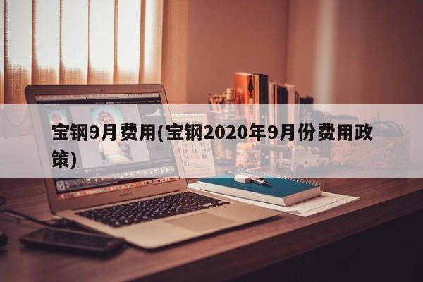宝钢9月费用(宝钢2020年9月份费用政策)