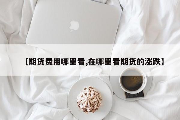 【期货费用哪里看,在哪里看期货的涨跌】