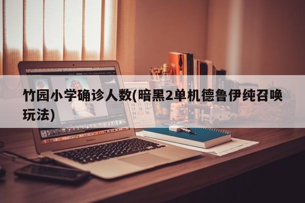 竹园小学确诊人数(暗黑2单机德鲁伊纯召唤玩法)